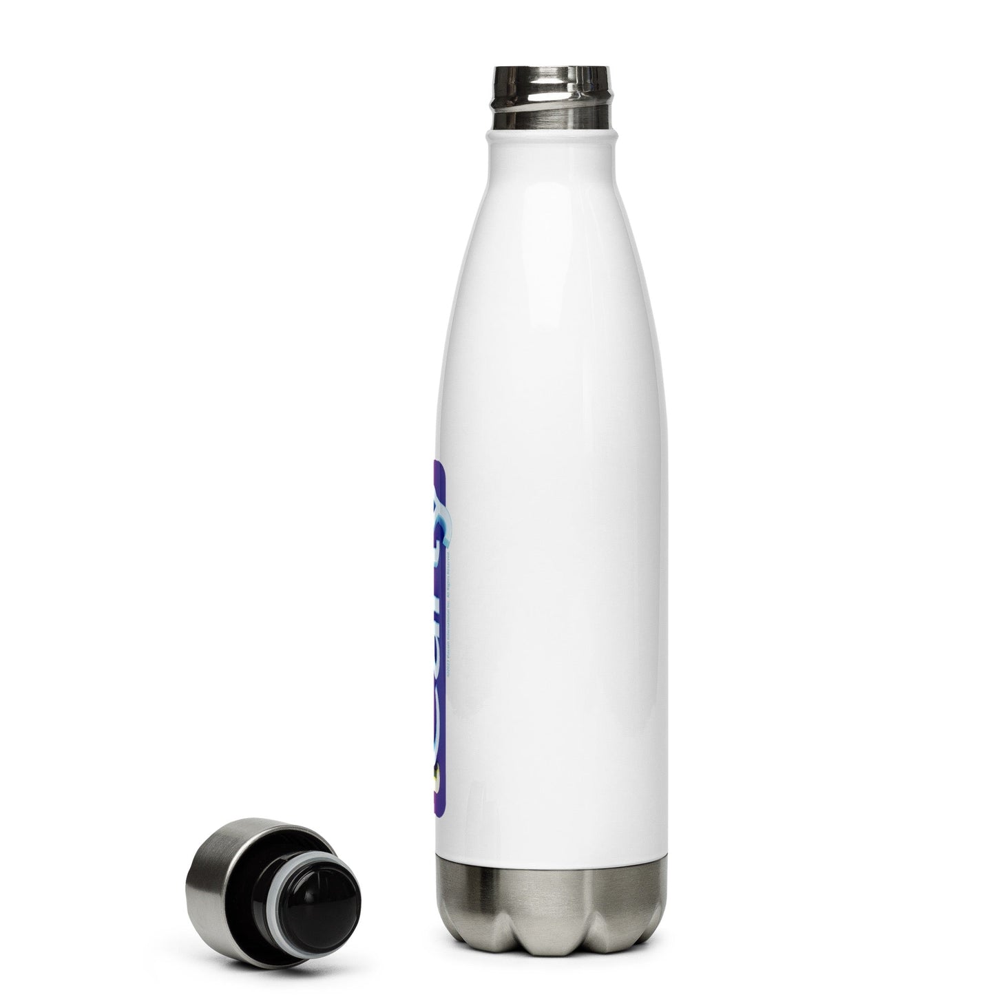 iCarly Logo Stainless Steel Water Bottle - Paramount Shop