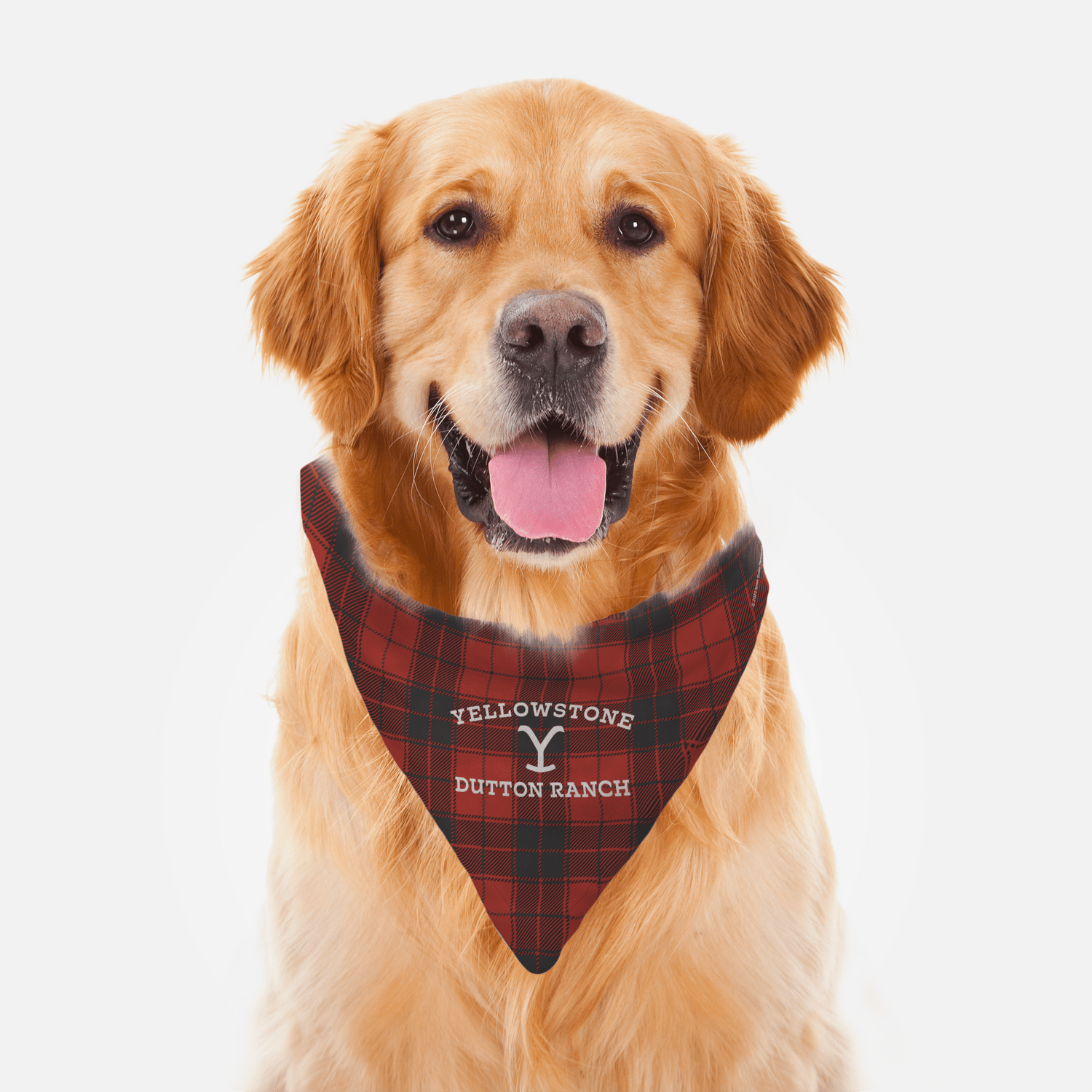 Yellowstone Dutton Ranch Plaid Pet Bandana - Paramount Shop