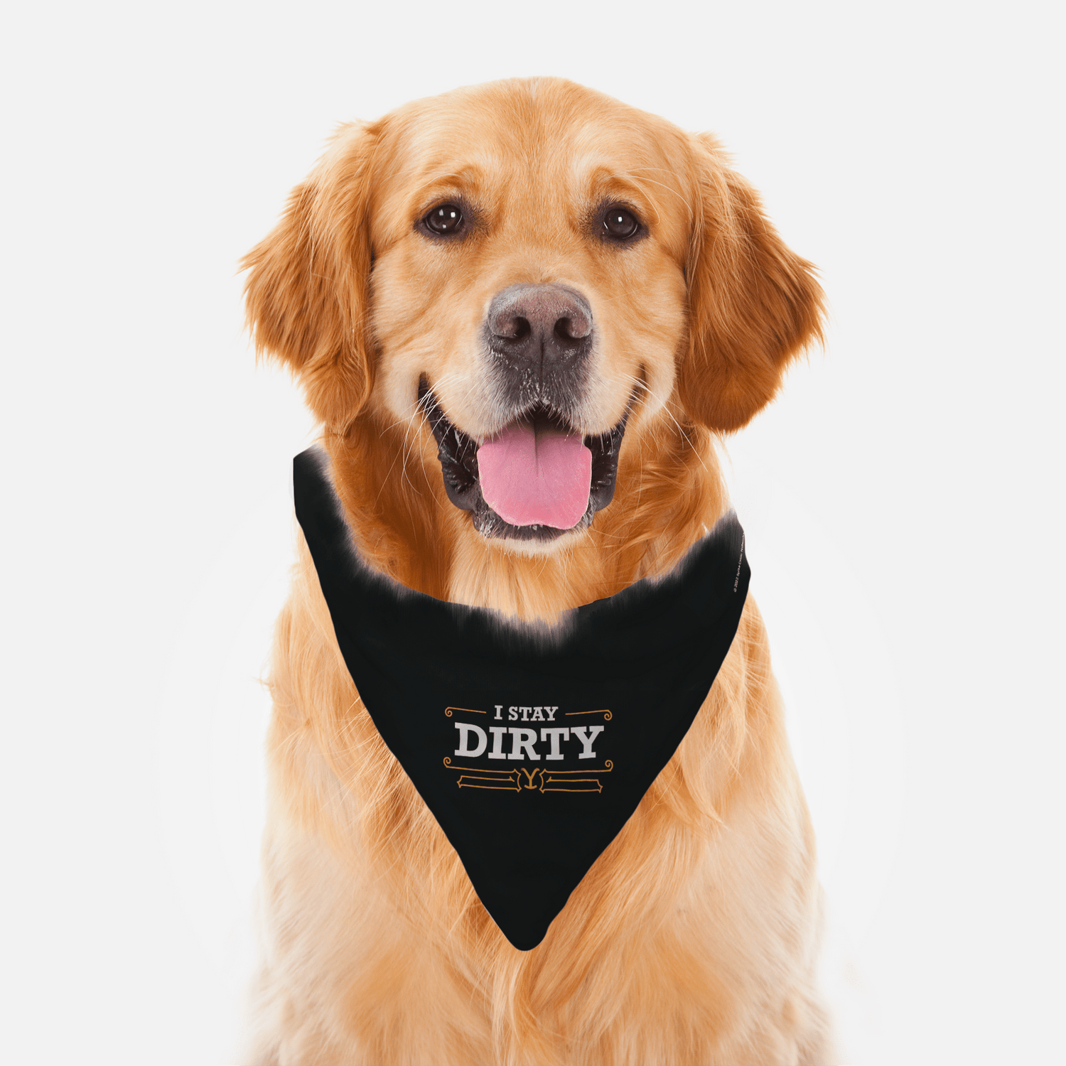 Yellowstone I Stay Dirty Pet Bandana - Paramount Shop