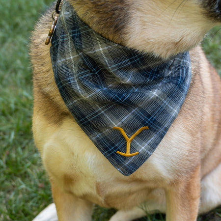 Yellowstone Y Logo Plaid Doggie Flandana - Paramount Shop