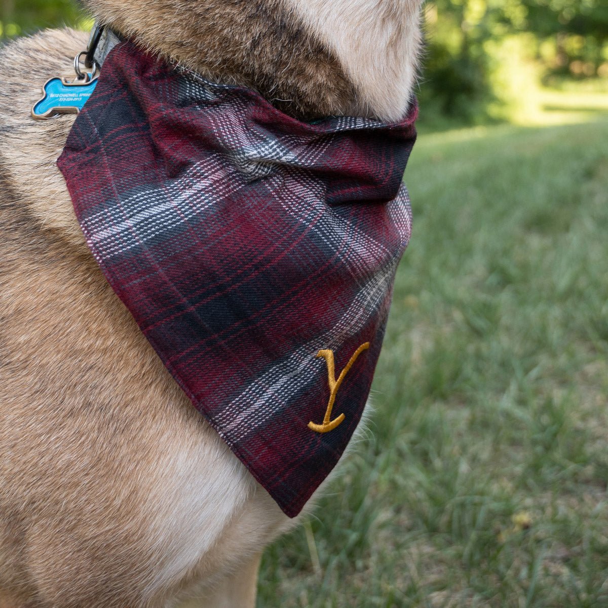 Yellowstone Y Logo Plaid Doggie Flandana - Paramount Shop