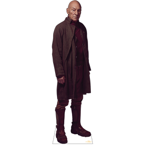 Star Trek: Picard Picard Recortable de cartón Standee