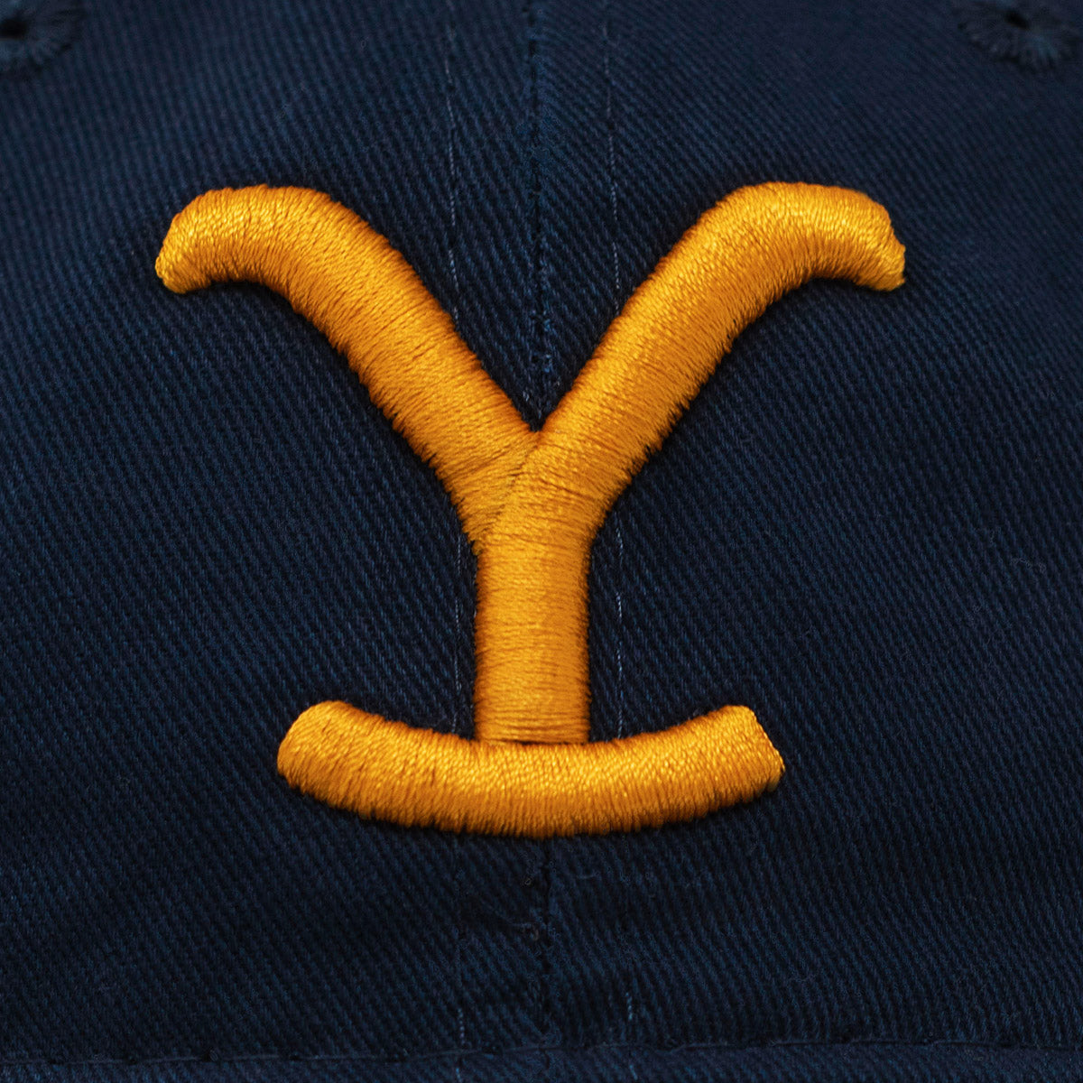 Yellowstone Y Logo Sombrero bordado Puff 3D